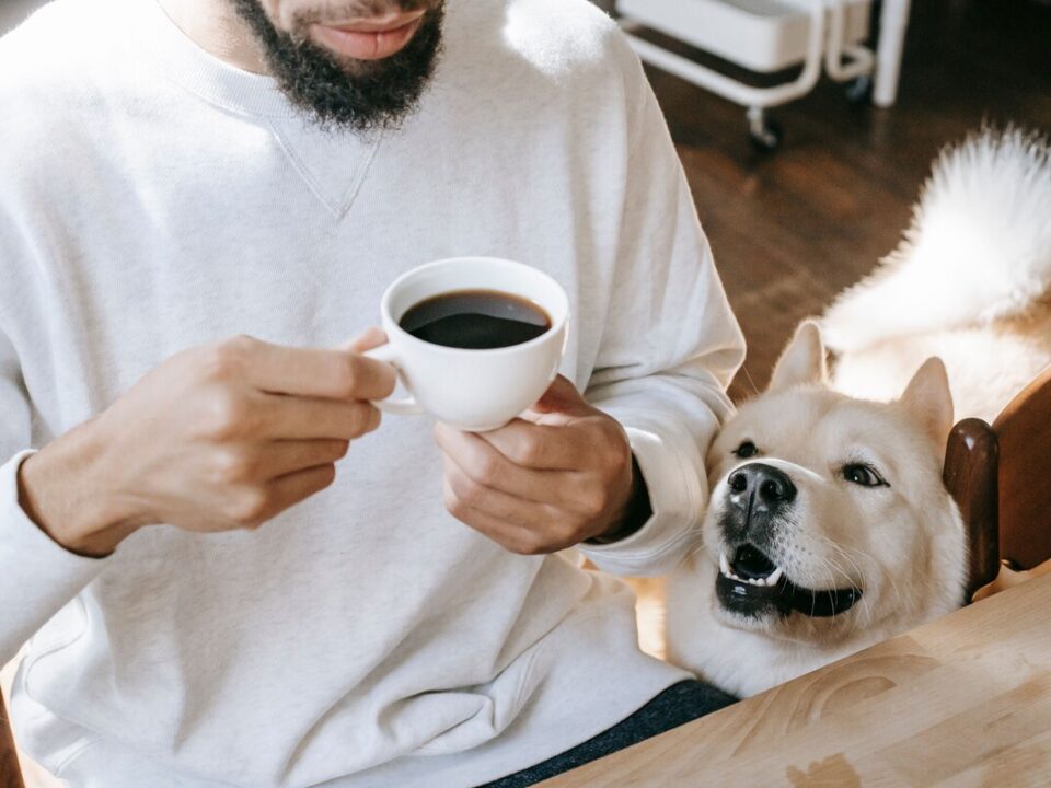 Dog relaxing beside its owner at an outdoor table with coffee and homemade baked treats at The Orchard Farm Stall in the Elgin Valley.