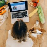 Customer browsing the Orchard Farm Stall online store for local products, farm-fresh goods, and home delivery options.