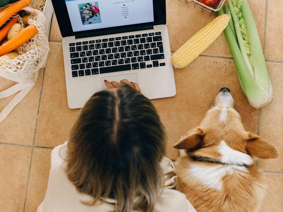 Customer browsing the Orchard Farm Stall online store for local products, farm-fresh goods, and home delivery options.