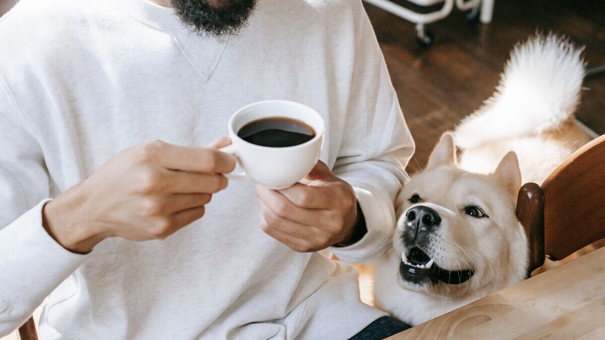 Dog relaxing beside its owner at an outdoor table with coffee and homemade baked treats at The Orchard Farm Stall in the Elgin Valley.
