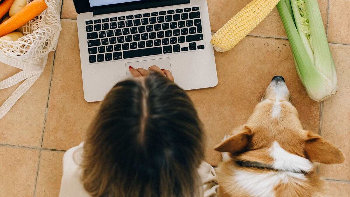 Customer browsing the Orchard Farm Stall online store for local products, farm-fresh goods, and home delivery options.